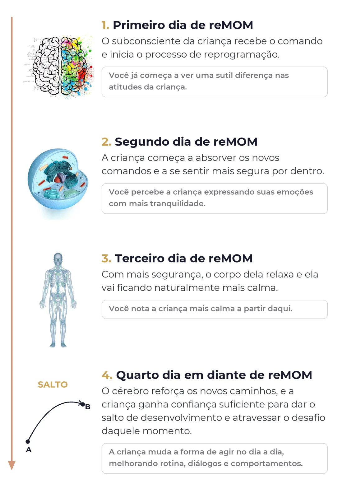 Mecanismo do remom dia a dia: primeiro, segundo, terceiro e quarto dia